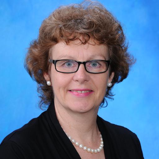 life long learner, head of school, mother, wife, community volunteer, interested in educational development and research