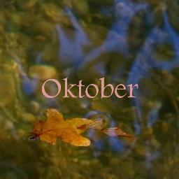 We are an Anglo-Transylvanian musical collective with eclectic influences featuring elements of European folk and progressive music.