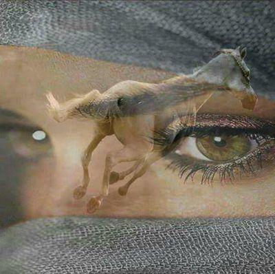 habary070's profile picture. ‏‏⠀
⠀ لا بغيت تحبٓ ؟ حب : الثقيل
اللي لا شاف غيٰرك مَ يبتسم له