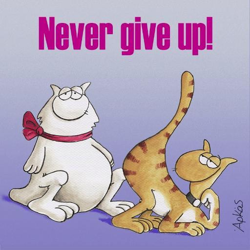 mouadimiza's profile picture. 