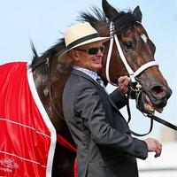 Phillip Stokes Racing (@pstokesracing) 's Twitter Profile