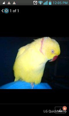 pauline80890719's profile picture. 