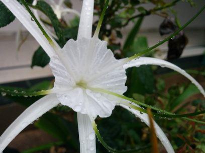 shashanksheth93's profile picture. Freelance writer and amateur photographer