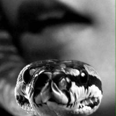 FaryFa's profile picture. 