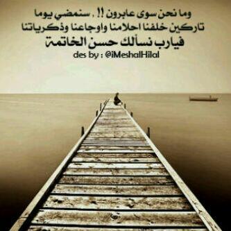 ans22239's profile picture. 