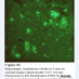 AlanBMacDonald (@alzdisresearch) Twitter profile photo AlanBMacDonald (@alzdisresearch) Twitter profile photo