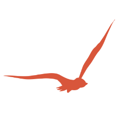 SeriousCastMC's profile picture. La société SeriousCast est spécialisée dans la vente d'articles de pêche! Livraison en 24h! Prix ultra-competitfs!