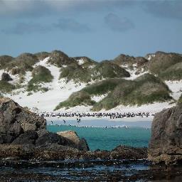 penguintravel2's profile picture. 