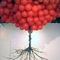 ARTFORHULL (@artforhull) 's Twitter Profile Photo ARTFORHULL (@artforhull) 's Twitter Profile Photo