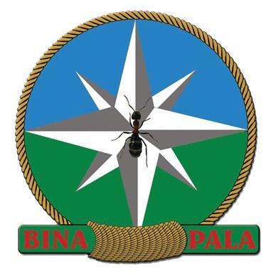 binapala31's profile picture. 