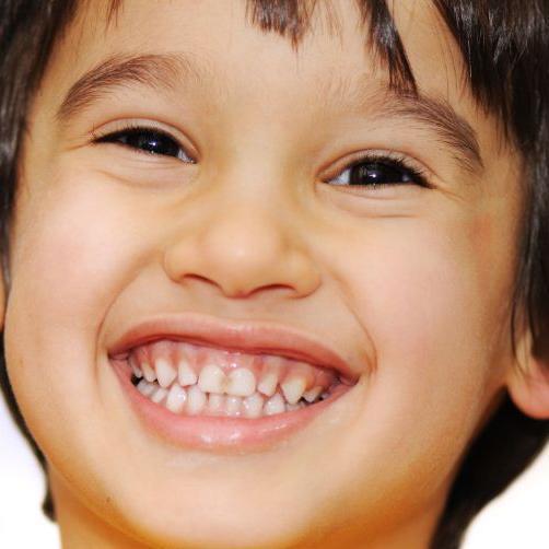 zibeoncampion's profile picture. 