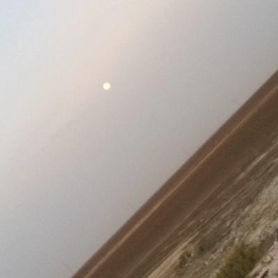 aaa100039813566's profile picture. 