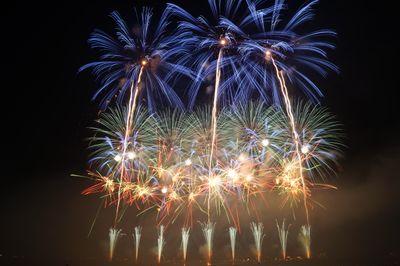 SOL_T_DOG's profile picture. 