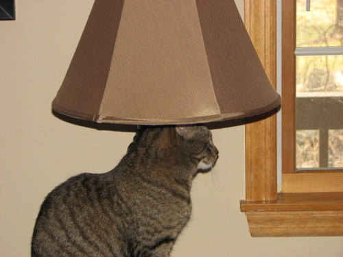 dbarbier's profile picture. views expressed here are my own