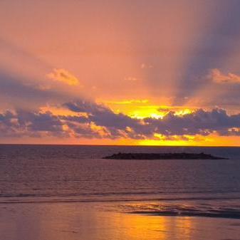 aliveone's profile picture. Add value. Be valued.