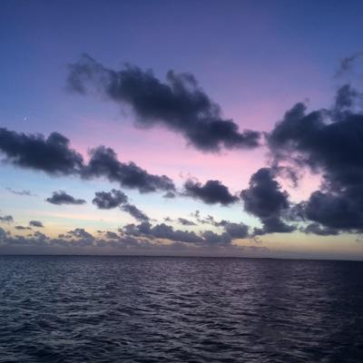 LisaLovetoread's profile picture. Proud Mom and Grandma.  Fisherman, Book lover, School Librarian.