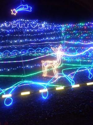 kazutsugu7316's profile picture. 