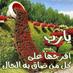 عامر (@amerqomedan12) Twitter profile photo عامر (@amerqomedan12) Twitter profile photo