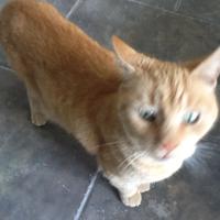 Peter Tonge (@dubbtonge) 's Twitter Profile