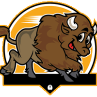 Comanche Elementary(@Buffaloes_SMSD) 's Twitter Profile Photo