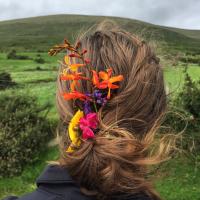 Emily (@emilyphd) 's Twitter Profile