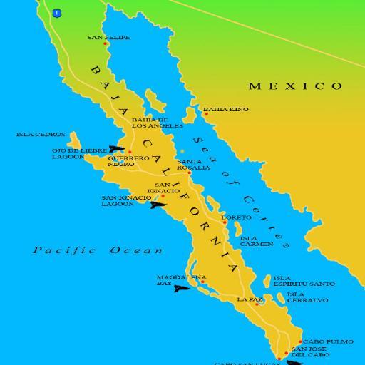 The Gulf of California, also known as the Sea of Cortez, Sea of Cortés or Vermilion Sea, in Spanish lingo Mar de Cortés or Mar Bermejo or Golfo de California