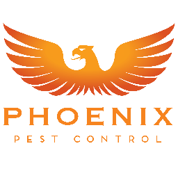 Knoxville/ Maryville Pest Control
Everyone says they are the best, let us prove it.
Pest Control ...done right. 
#whatbugsme #proudtobeaphoenix