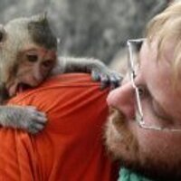 Jose I. Corbella (@nachocorbella) 's Twitter Profile