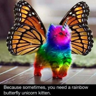 freejudy's profile picture. Alcoholic. Chocoholic. Bibliophile. Curmudgeon. And don't tell anyone but I love cats, sunsets and food.