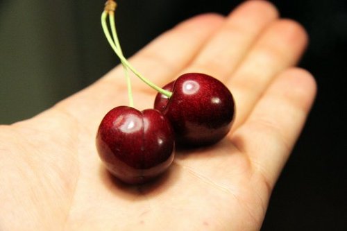 Grydeskeen's profile picture. Food lover, dad, husbond, photographer, geek..