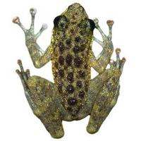 Chan Kin Onn (@chankinonn) 's Twitter Profile