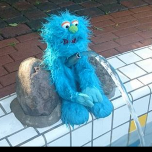 Yes I really am a puppet! im Cookie Monsters much less famous younger cousin, follow n I will follow back.