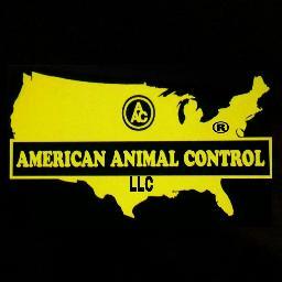 American Animal Ctrl