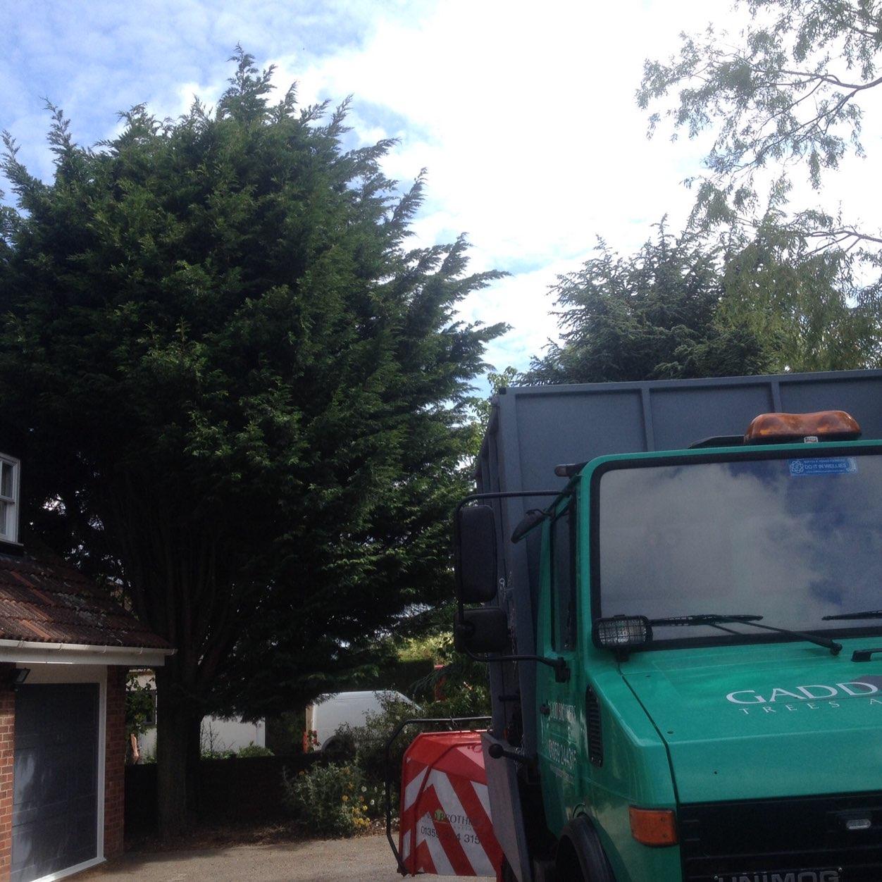 Based in Suffolk near Bury St. Edmunds the Gadd Brothers are committed to providing high standard Arboriculture and Landscaping work. Members Suffolk YFC