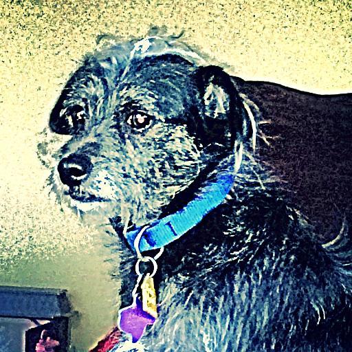 135LUKEG's profile picture. I'm a Snorlax