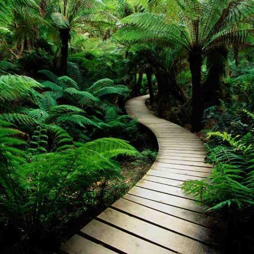 English/Spanish Poems and Quotes