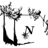 Notice Recordings (@noticerecs) 's Twitter Profile