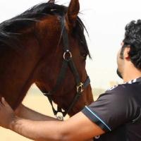 Fahad ...! (@fahahd7) 's Twitter Profile Photo