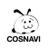 cosnavi1