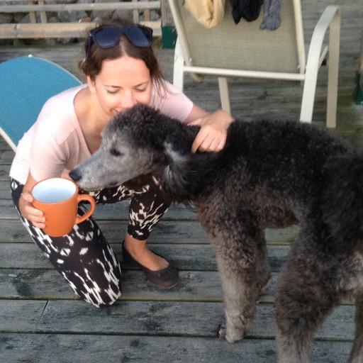 HeyDanieJ's profile picture. 