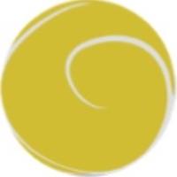 Zenzero Kitchen (@zenzerokitchen) 's Twitter Profile