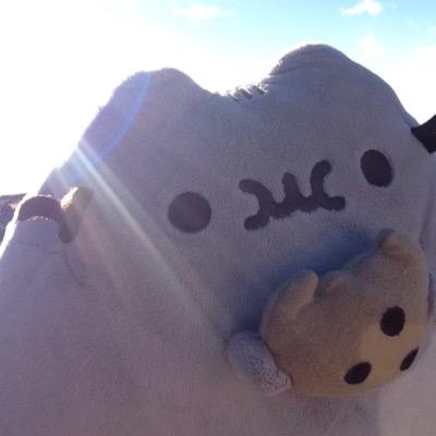 FandersFinn's profile picture. Follow me @Fuzzyjunior_