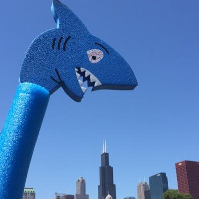 Just a Shark lookin' for a good time, rescued by my owners at Lolla 2k15