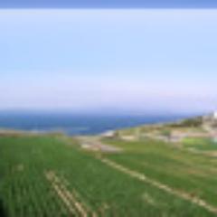はな