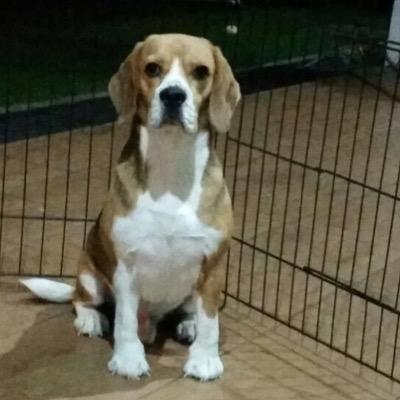 KahWai97's profile picture. 