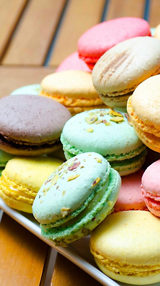 KOMIDORIR's profile picture. 