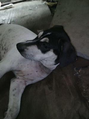 JohnBody10's profile picture. 