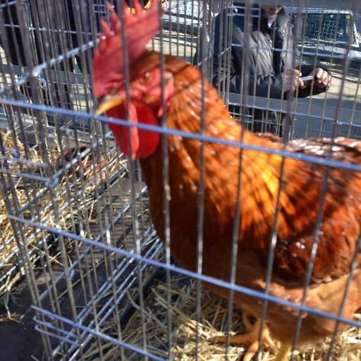 Filosofandamio's profile picture. Pues hablando de todo y sin saber de nada.....