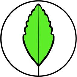 gourmetxnature's profile picture. 