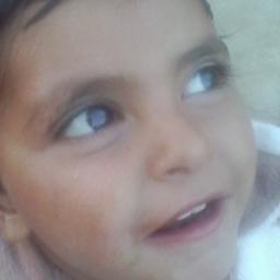 sajidaliu's profile picture. 